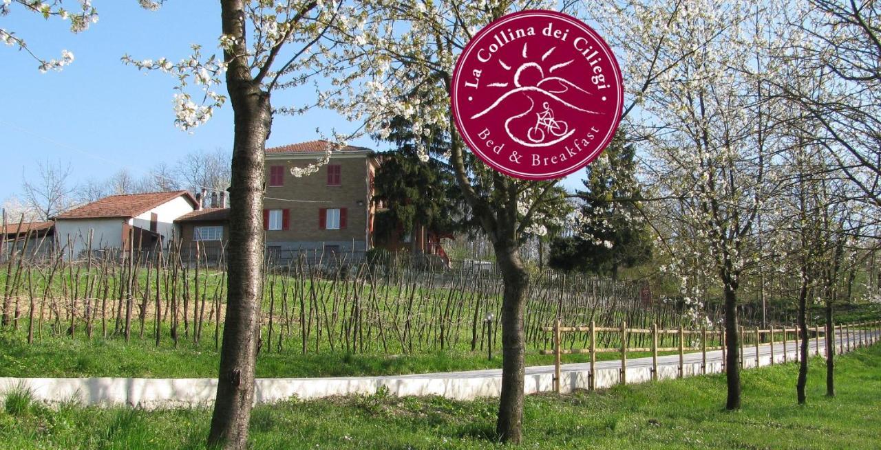 B&Bla Collina Dei Ciliegi Cassano Spinola Kültér fotó